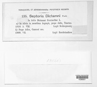 Septoria dictamni image